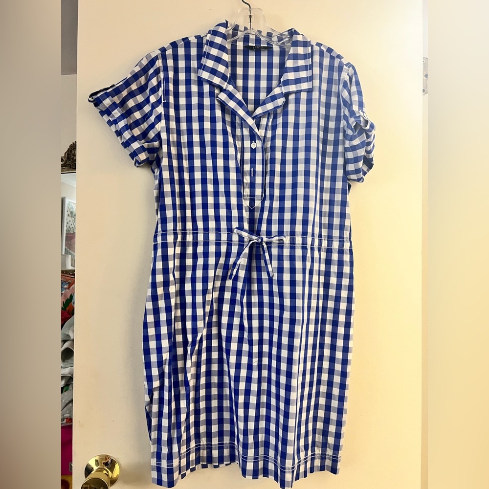J. Crew Blue and White Checkered Shirt Dress